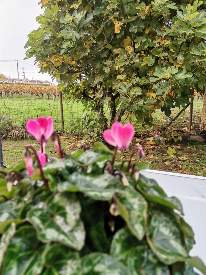 Gite " Suzon" A Peyroutas Vignonet St Emilion Экстерьер фото